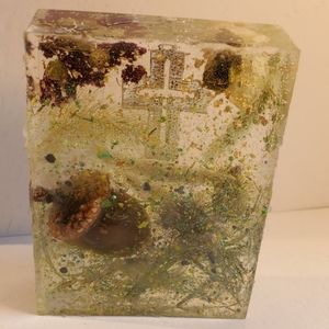 Praying in the Woods